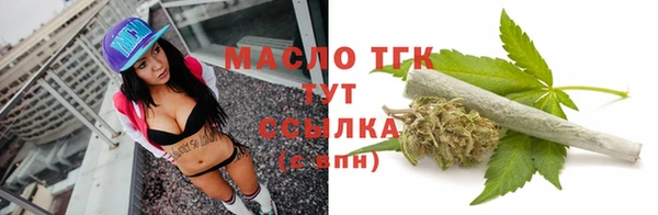 стаф Каменка
