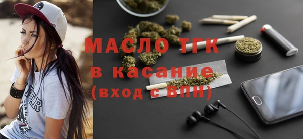 стаф Каменка