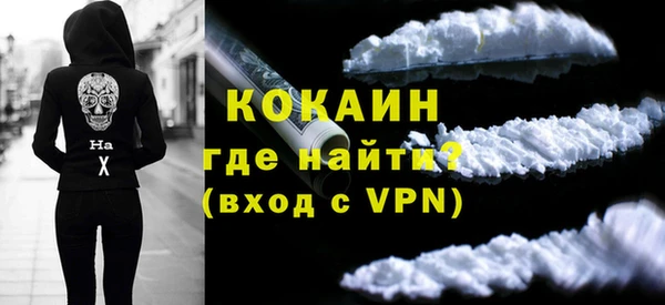 стаф Каменка