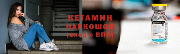 стаф Каменка