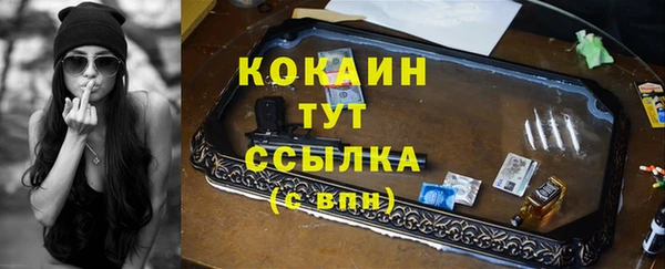 стаф Каменка